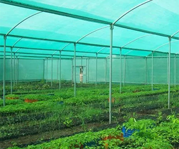 garden Bird net