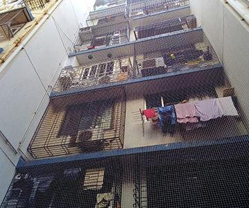 Building Bird net