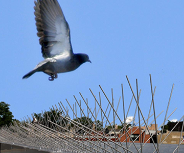 Anti bird spikes